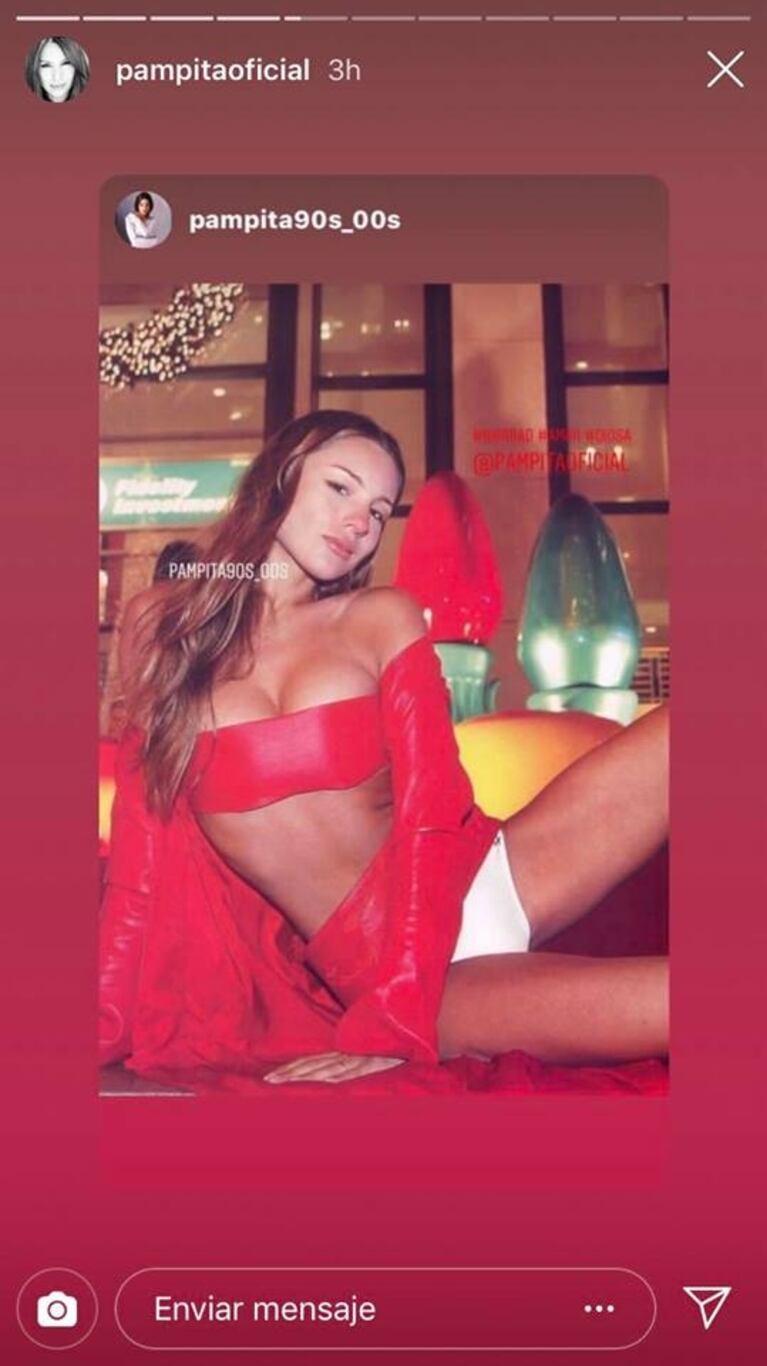 Disfrazada con prendas navideñas, Pampita les deseó a sus seguidores unas felices fiestas