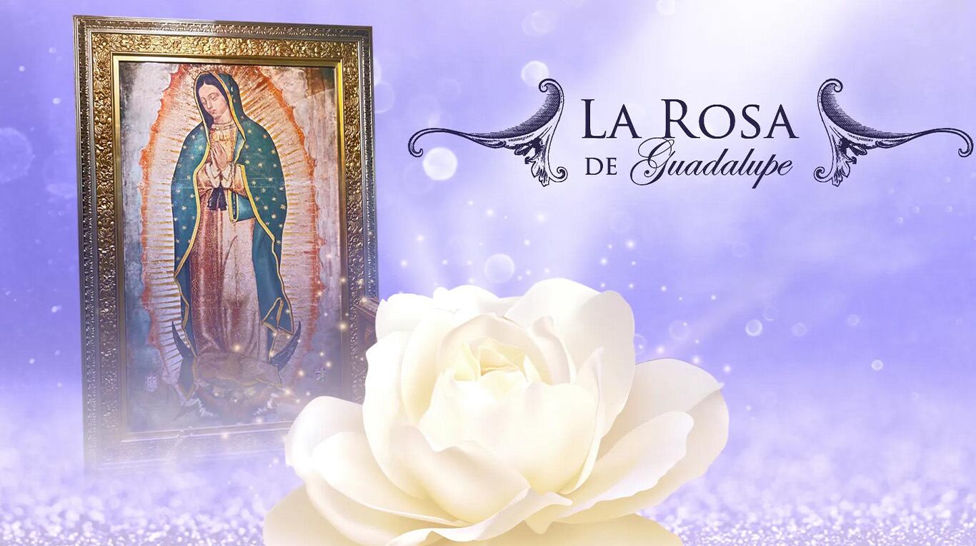Dolor: murió Iliana de la Garza, la famosa actriz de “La Rosa de Guadalupe”