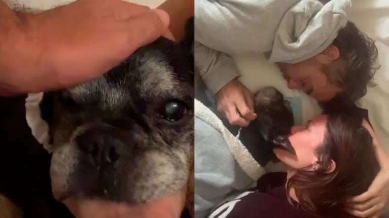 Dolor total: la desgarradora despedida de Paula Chaves a Moro, su perro de 16 años (captura de Instagram)