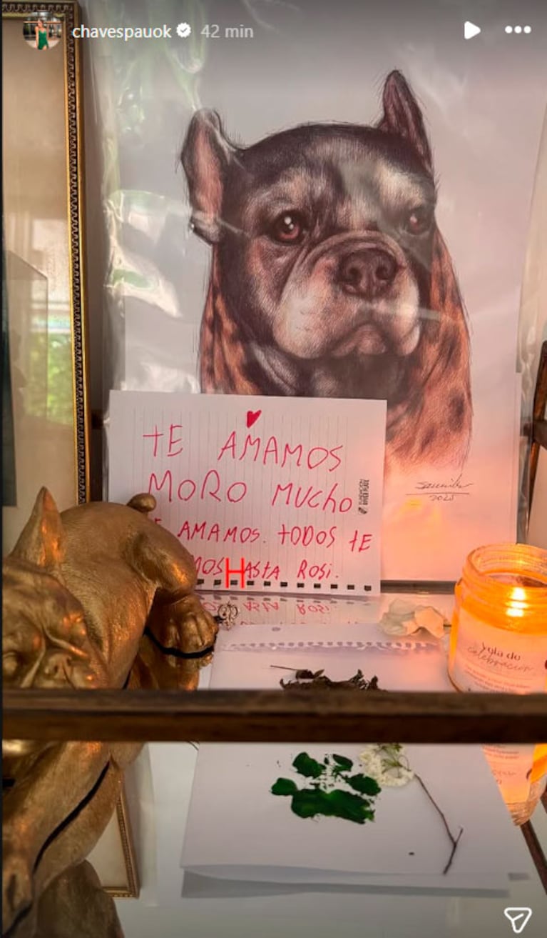 Dolor total: la desgarradora despedida de Paula Chaves a Moro, su perro de 16 años (Foto de Instagram)