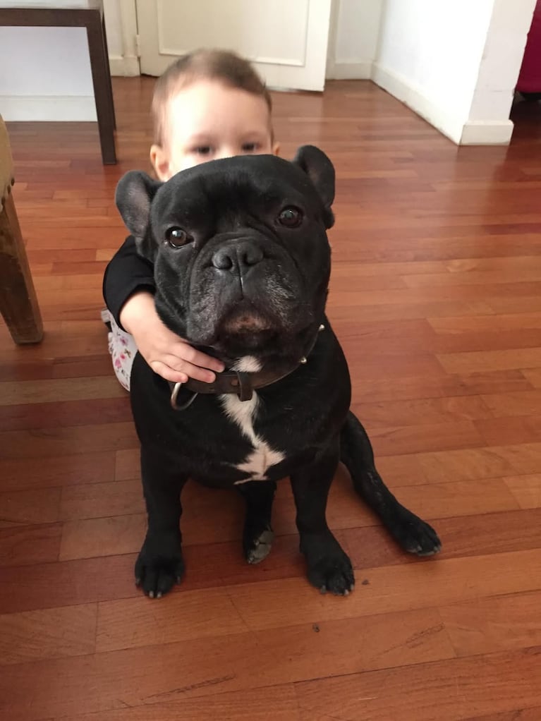 Dolor total: la desgarradora despedida de Paula Chaves a Moro, su perro de 16 años (Foto de Instagram)