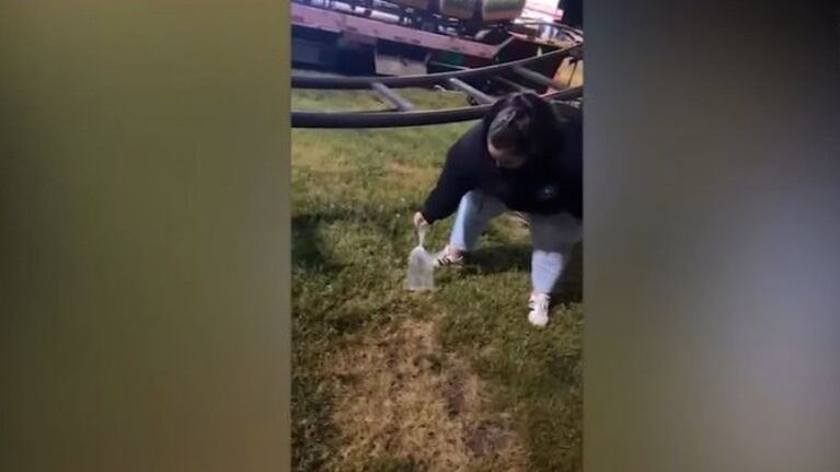 Dos adolescentes de 15 y 18 años rescatan a un pez que un grupo de jóvenes había tirado desde una noria