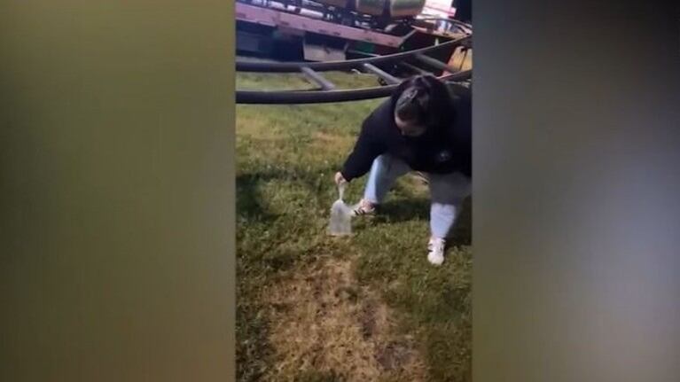 Dos adolescentes de 15 y 18 años rescatan a un pez que un grupo de jóvenes había tirado desde una noria