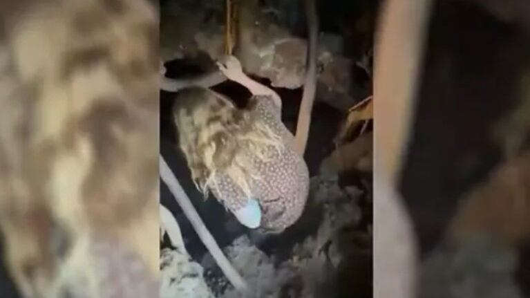 Dos aventureros exploraron una cueva que se encontraba dentro de un árbol gigante en Hawái