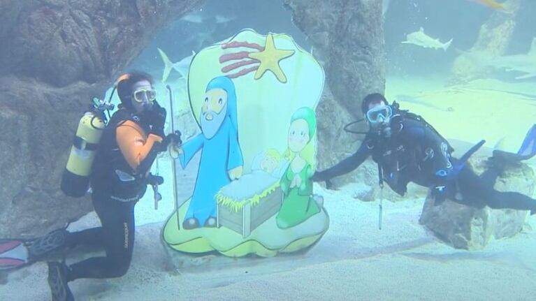 Dos buceadores se sumergen entre tiburones y peces para montar un pesebre bajo el agua