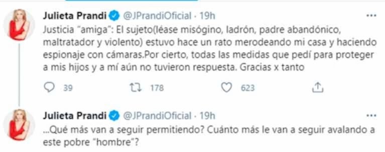 Dramático pedido de Julieta Prandi a la Justicia por su exmarido: "El violento estuvo hace un rato merodeando mi casa"