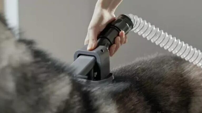 Dyson lanza nuevos accesorios para sus aspiradoras