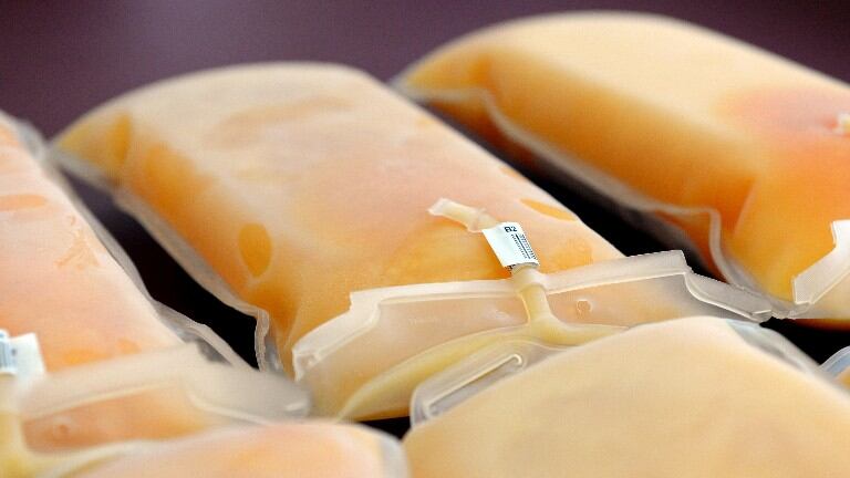  EEUU: se aprueba el uso de plasma para tratar el coronavirus. Foto: EFE.