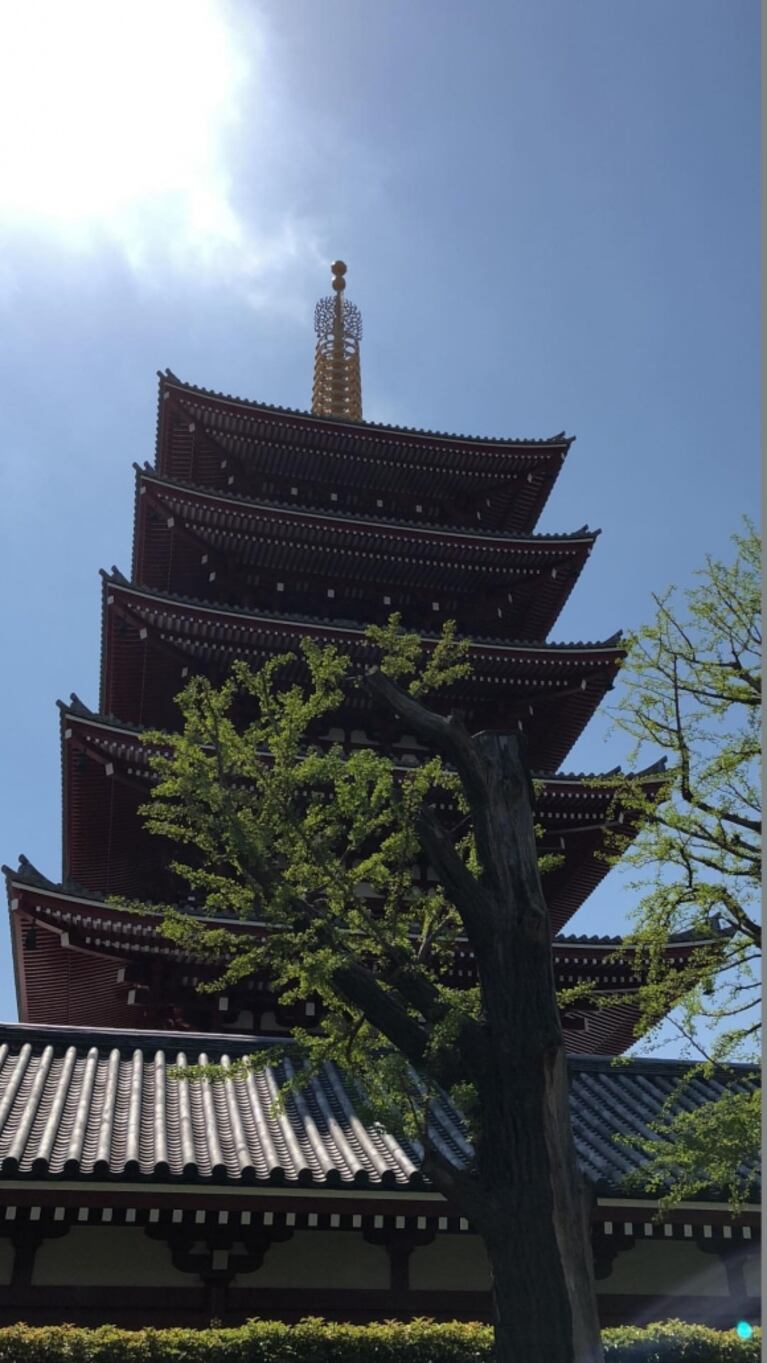 El álbum de fotos de las exóticas vacaciones de Franco Masini en Japón y su "problema" para comer con palitos