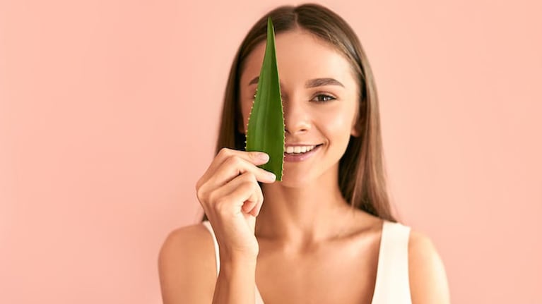 El aloe vera tiene propiedades regenerativas para el cabello. Foto: Freepik