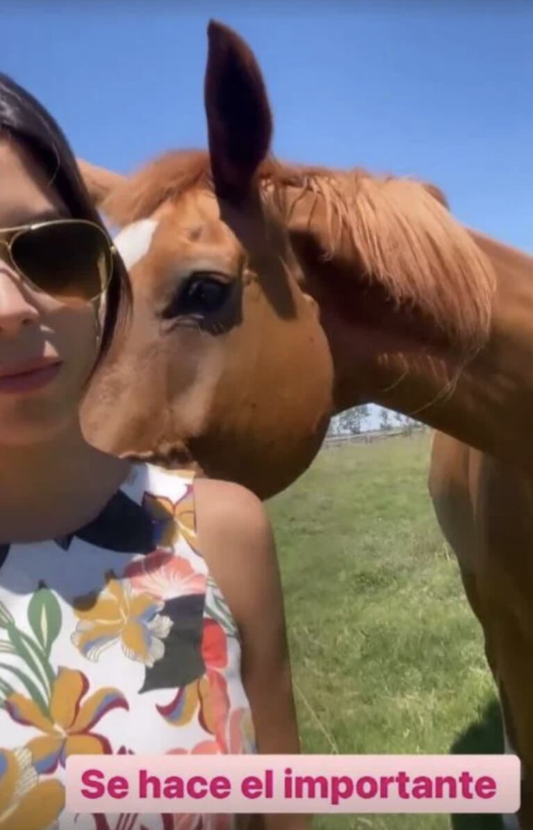 El ansiado reencuentro de Barby Franco con su amado caballo: "Se hizo el importante hasta que me chapó"