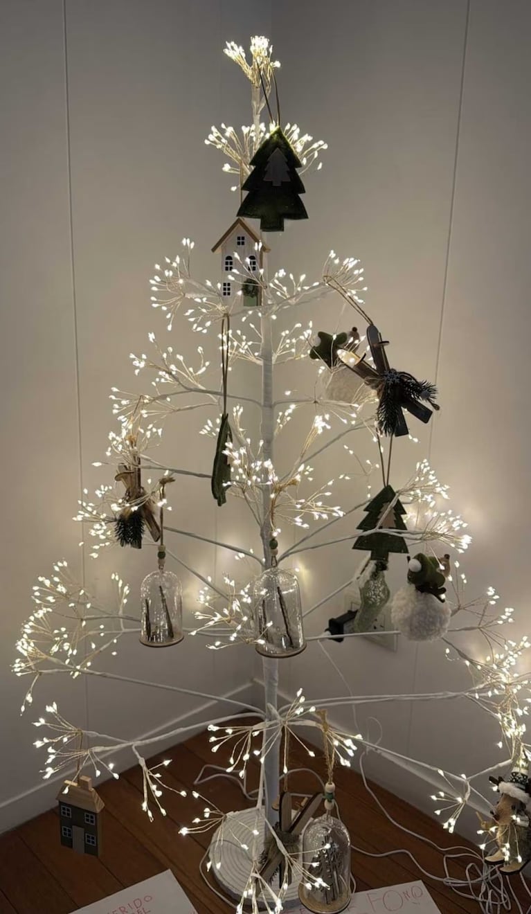 El árbol de Navidad de Paula Chaves generó críticas en redes y se volvió tema de discusión. Crédito: Instagram