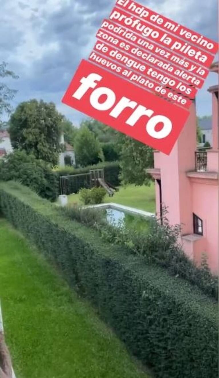 El ataque de furia de Cinthia Fernádez con su vecino por descuidar la pileta en plena alerta de dengue: "¡Forr...!"