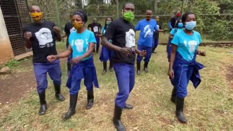 El baile viral de los cuidadores que usan barbijos para que primates no se contagien