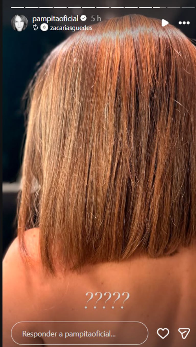 El cambio de look de Pampita