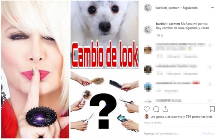 El cambio de look del perro de Carmen Barbieri: recibió críticas por supuesto maltrato animal en Instagram