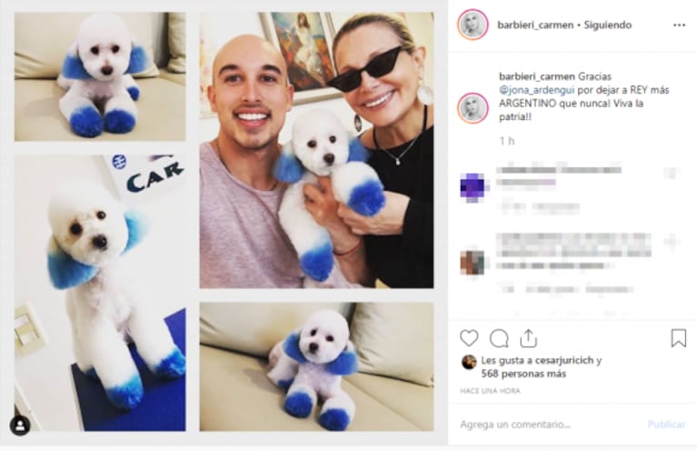 El cambio de look del perro de Carmen Barbieri: recibió críticas por supuesto maltrato animal en Instagram