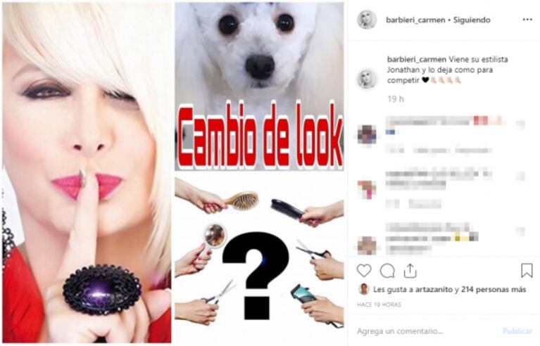 El cambio de look del perro de Carmen Barbieri: recibió críticas por supuesto maltrato animal en Instagram