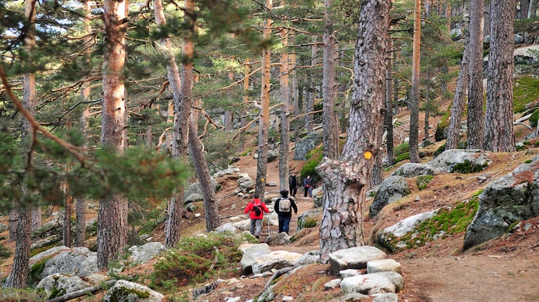 El Camino Schmidt o Camino Schmid es un clásico entre los entusiastas de las rutas de montaña que atraviesa la Sierra de Guadarrama rodeando la montaña de Los Siete Picos. 