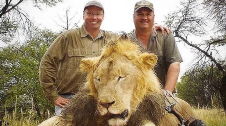 El cazador que asesinó al famoso león Cecil ahora mató a un carnero salvaje protegido