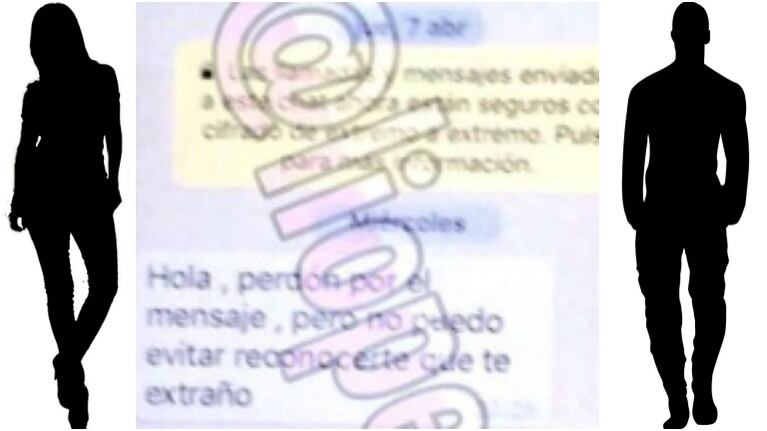 El chat en el que Carolina Nuin intenta reconquistar a Fabián Doman (Fotos: Web y Twitter)