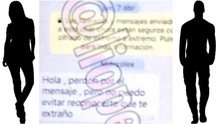 El chat en el que Carolina Nuin intenta reconquistar a Fabián Doman (Fotos: Web y Twitter)
