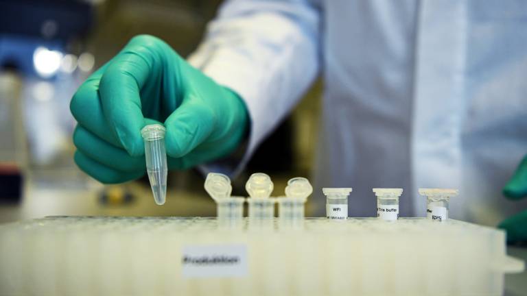 El coronavirus avanza en Mar del Plata, que sumó 58 nuevos casos en un día
