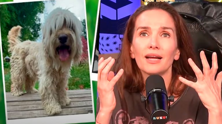 El desesperado pedido de Natalia Oreiro: busca a su perro Júpiter, perdido en San Isidro (Foto de Instagram y Luzu)