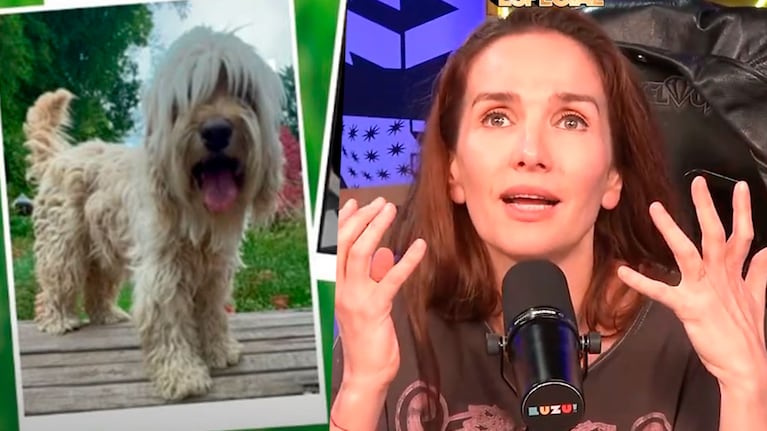 El desesperado pedido de Natalia Oreiro: busca a su perro Júpiter, perdido en San Isidro (Foto de Instagram y Luzu)
