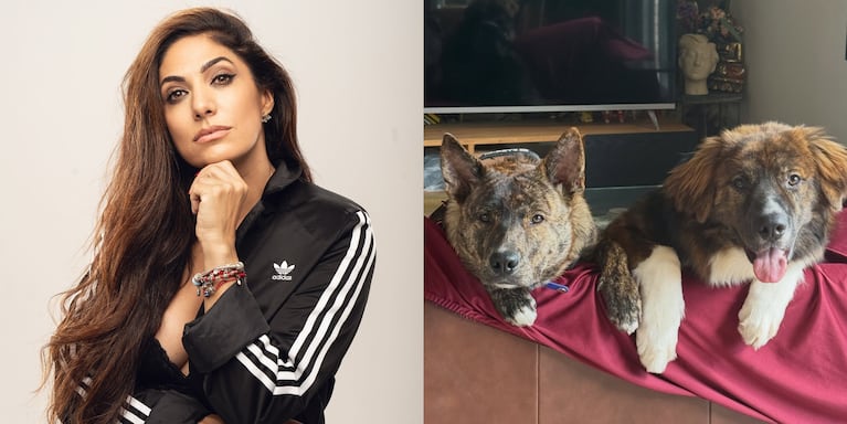 El desgarrador llanto de Connie Ballarini por una grave situación con sus perritos: “Estamos intentando solucionarlo” | Créditos: Instagram @connieballarini