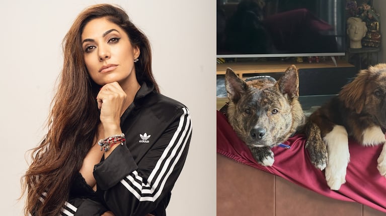 El desgarrador llanto de Connie Ballarini por una grave situación con sus perritos: “Estamos intentando solucionarlo” | Créditos: Instagram @connieballarini