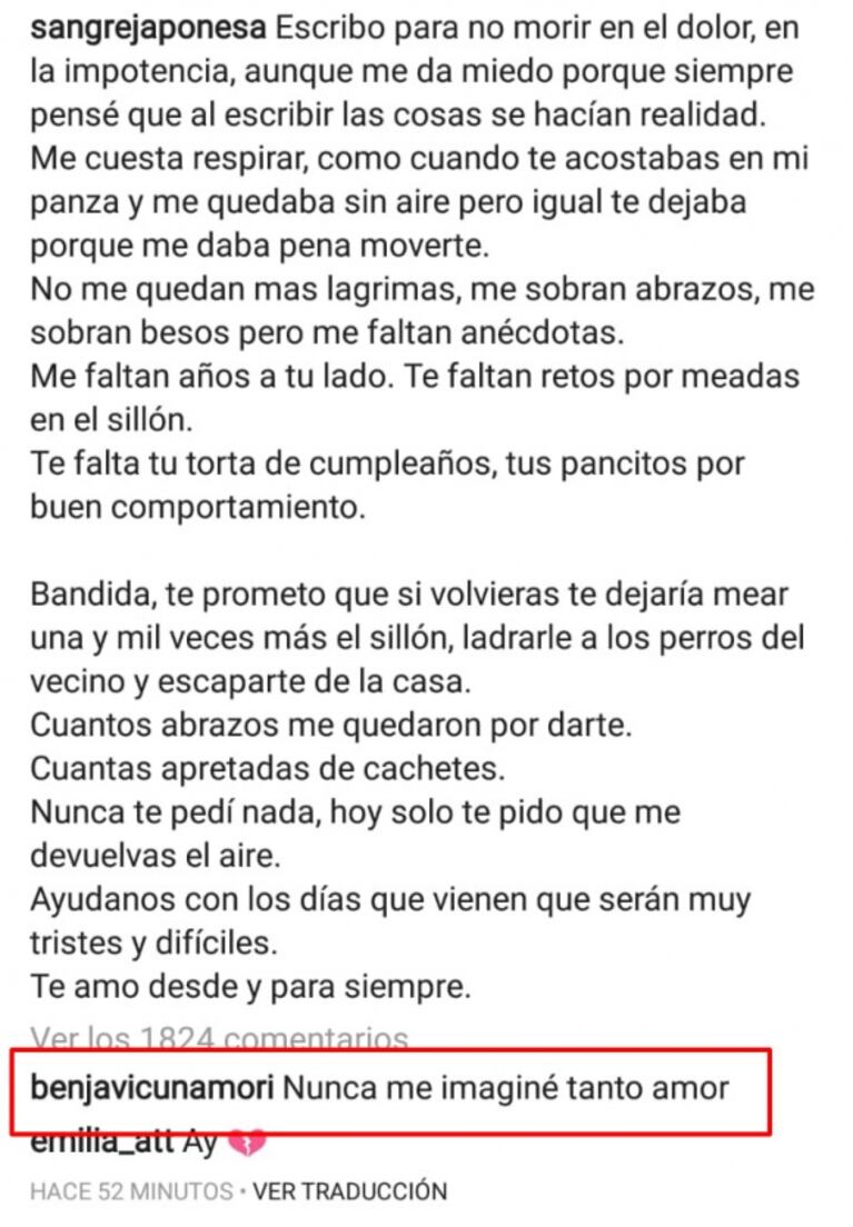 El desgarrador mensaje de la China Suárez tras la muerte de su perra: "Escribo para no morir en el dolor"