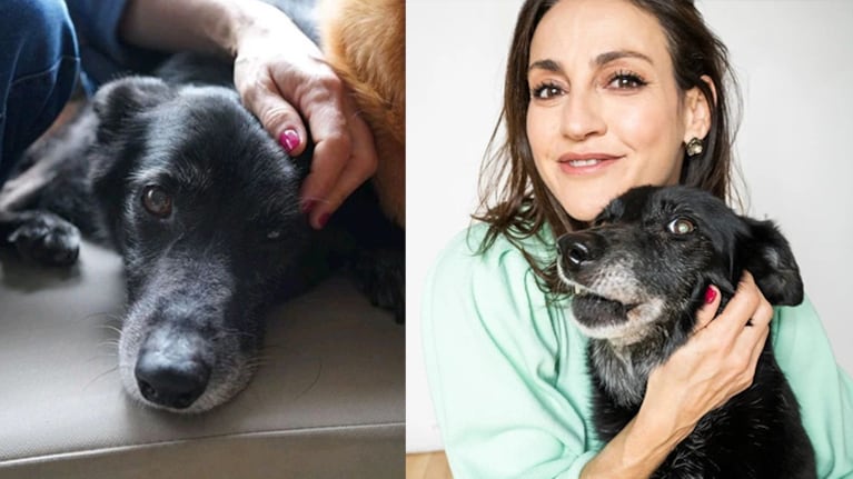 El desgarrador posteo de Eleonora Wexler por la muerte de su perra.