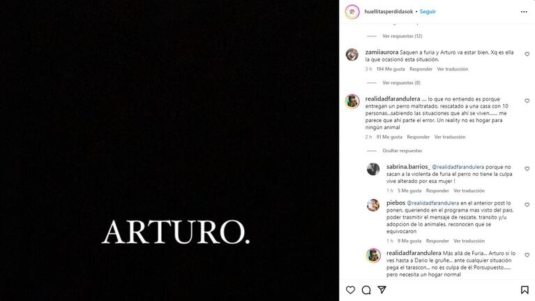 El destino del perro Arturo generó revuelo en Gran Hermano (Foto: Instagram @huellitasperdidasok)