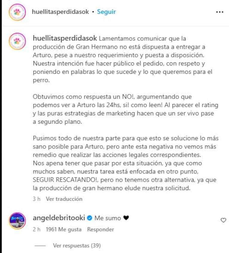 El destino del perro Arturo generó revuelo en Gran Hermano (Foto: Instagram @huellitasperdidasok)