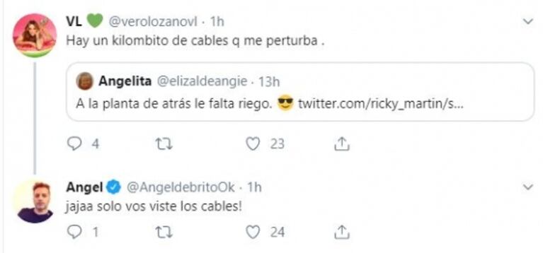 El divertido cruce de mensajes de Verónica Lozano y Ángel de Brito por la foto sexy de Ricky Martin