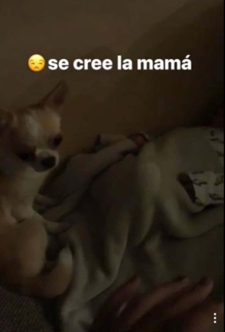 El divertido video de Lourdes Sánchez intentando alzar a su bebé… ¡pero su perrita no la deja!: "Se cree la mamá"