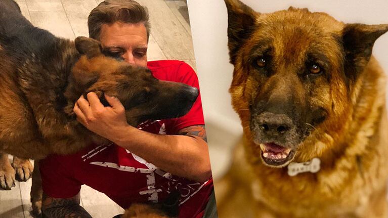 El dolor de Alejandro Fantino por la muerte de su perro Ramsés: Te voy a llevar en mi corazón para siempre