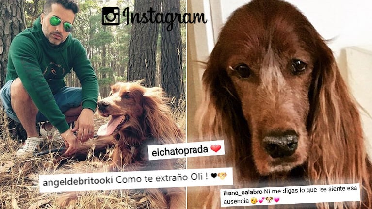 El dolor de Ángel de Brito por la ausencia de su perro. 