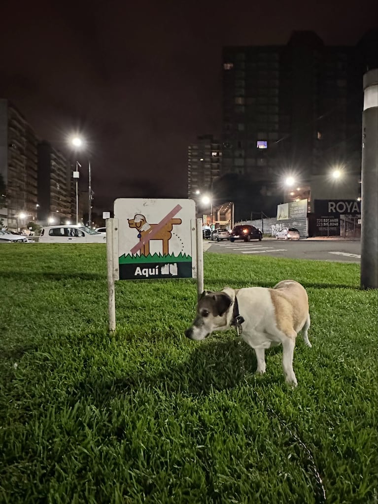 El dolor de Fede Bal por la muerte de su perro Kike (foto de Instagram)