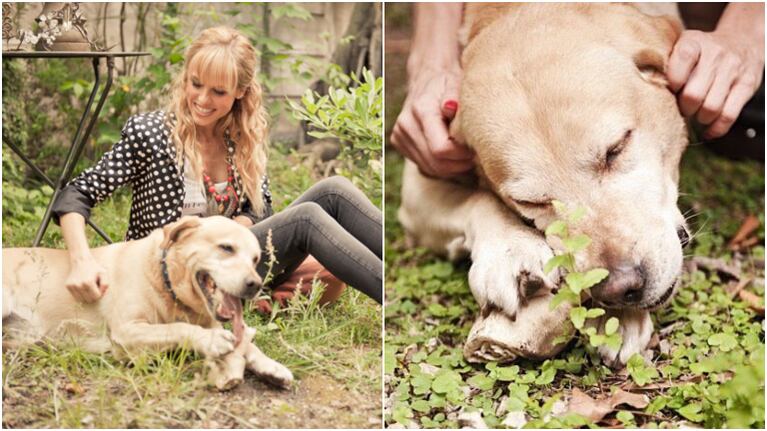 El dolor de Mariana Fabbiani por la muerte de Oringo, su perro: Gracias por estos 15 años de amor y alegría