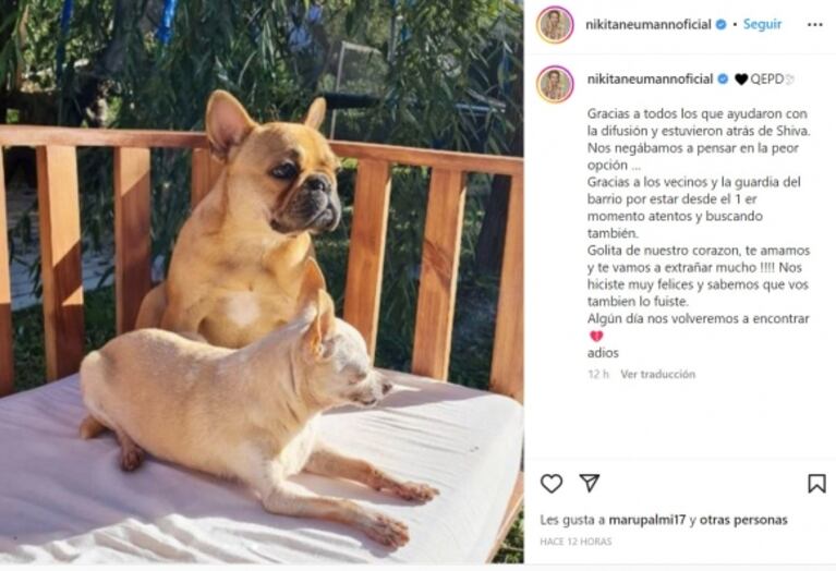 El dolor de Nicole Neumann por la muerte de su perrita tras haber ofrecido recompensa por encontrarla 