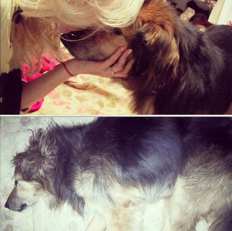 El dolor de Nicole Neumann por la muerte de Yaco. (Foto: Instagram)