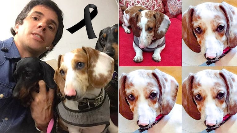 El dolor de Robertito Funes por la muerte de su perrita