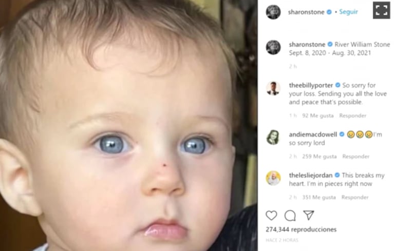 El dolor de Sharon Stone por la muerte de su sobrino de 11 meses