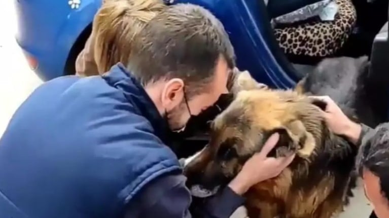 El emocionante reencuentro de este perro con su familia tras 6 años perdido por Granada