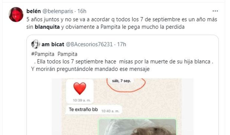 El enojo en las redes sociales por los mensajes de Moritán a Pampita. (Foto: captura X/belenparis)