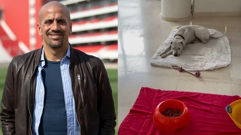 El exfutbolista adoptó a un perro rescatado.