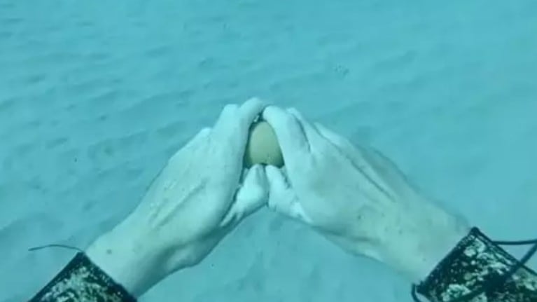 El experimento que demuestra qué ocurre cuando rompes un huevo bajo el agua se hace viral