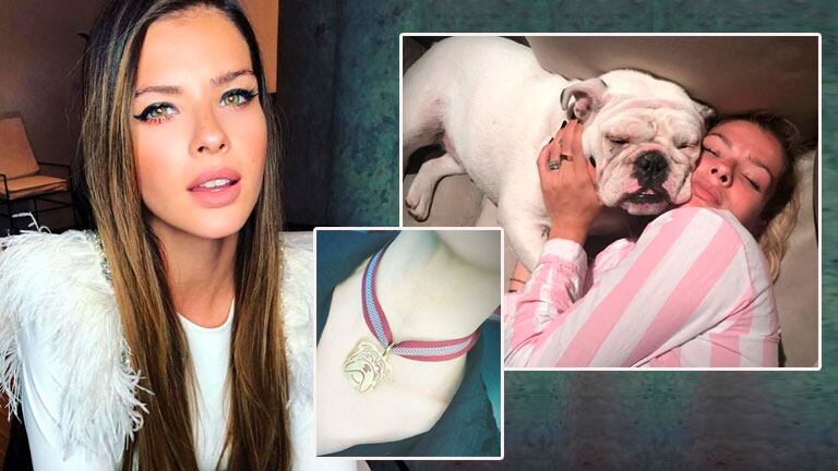 El gesto de amor de la China Suárez tras la muerte de su perra: ¡se hizo una medalla con la carita de Bandida!
